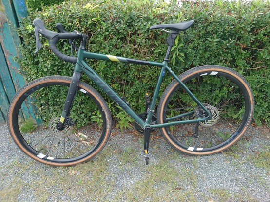 Foto zeigt ein dunkelgrünes Herrenrad von der Marke Stevens vom Typ gravere. Es lehnt an eine hufthohe Hecke im Garten.