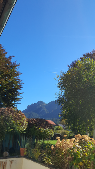 Foro mit viel blauen Himmel. Im Hintergrund ist eine Bergnase zu sehen, die mit Nadelbäumen bewachsen ist. Im Vordergrund ein paar Buchen und Hortensien.